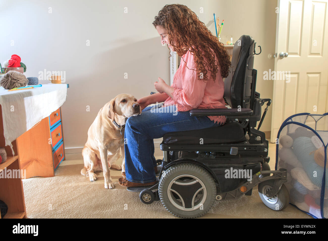 Femme avec la Dystrophie Musculaire tapotant son chien aidant dans son bureau Banque D'Images