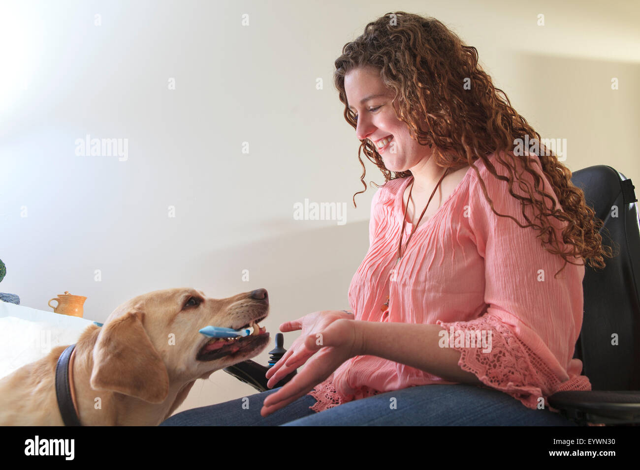Femme avec la dystrophie musculaire dans sa chaise de puissance de travailler avec son chien aidant à part ses articles Banque D'Images