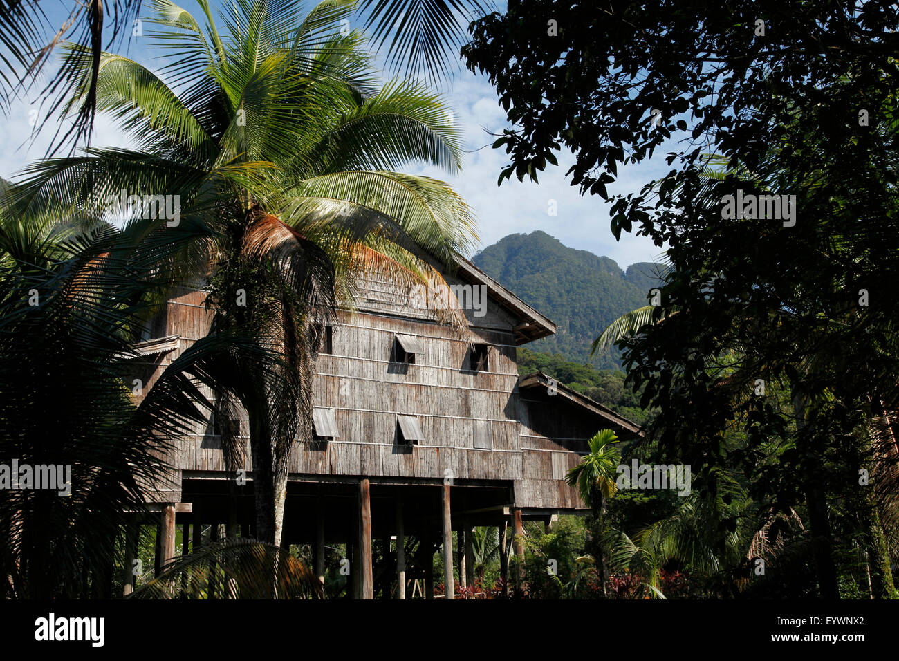 Iban longhouse traditionnelle autochtone à Bornéo, en Malaisie, en Asie du Sud-Est, l'Asie Banque D'Images