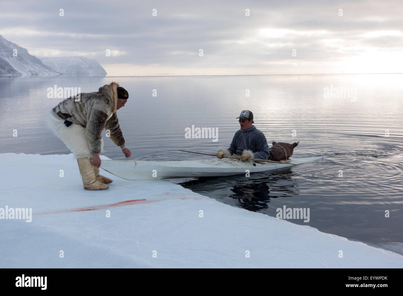 Les chasseurs inuits, utiliser un kayak avec un flotteur en peau de phoque pour récupérer les phoques capturés à la banquise, le Groenland, le Danemark, les régions polaires Banque D'Images