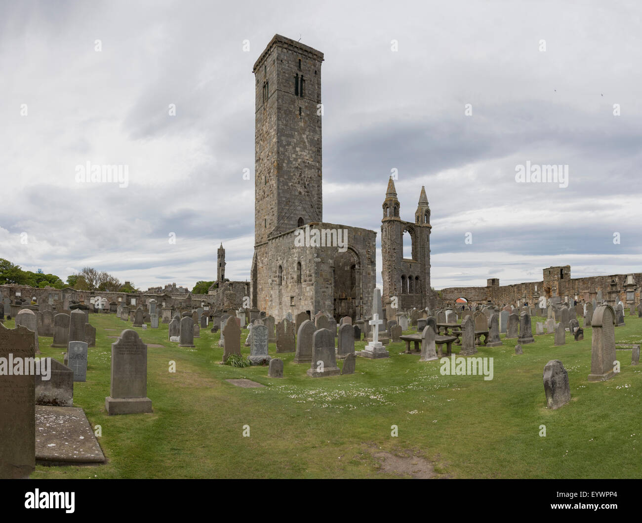 Ruines de la cathédrale St Andrews, St Andrews, Fife, Scotland, Royaume-Uni, Europe Banque D'Images