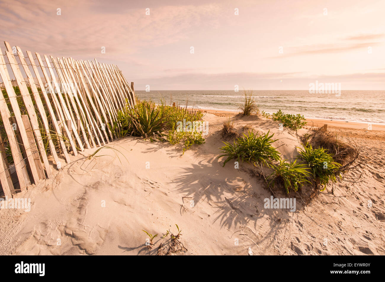 Plage Près de Kitty Hawk, Outer Banks, Caroline du Nord, États-Unis d'Amérique, Amérique du Nord Banque D'Images