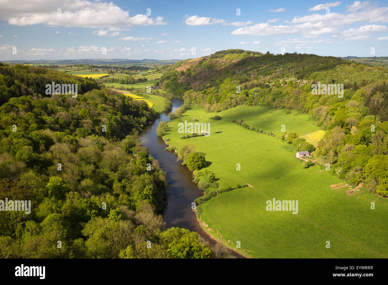 Vue sur la vallée de Wye Symonds Yat Rock, Symonds Yat, forêt de Dean, Herefordshire, Angleterre, Royaume-Uni, Europe Banque D'Images