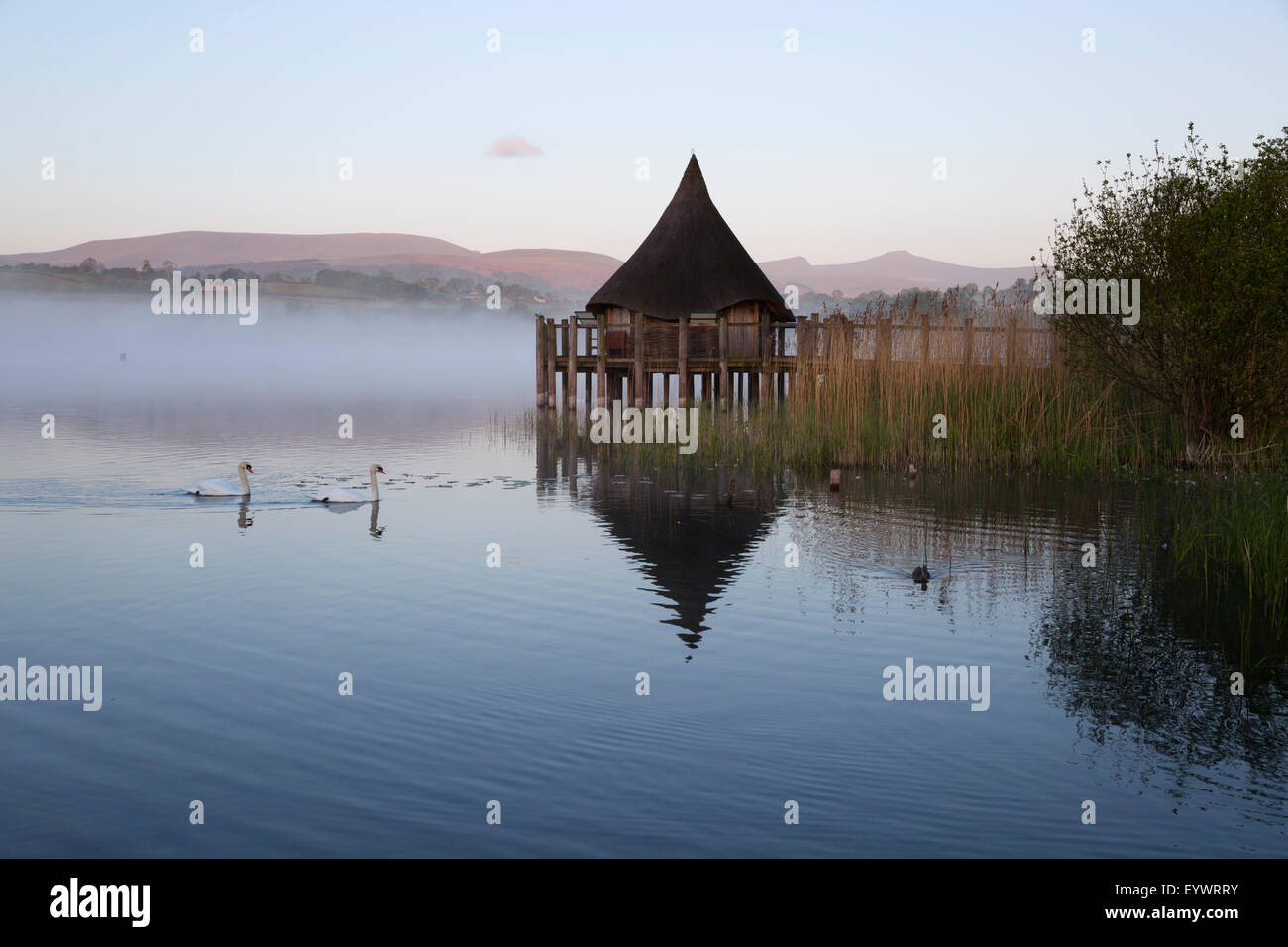Llangorse Lake et à l'île de Crannog morning mist, Llangorse, parc national de Brecon Beacons, Powys, Pays de Galles, Royaume-Uni, Europe Banque D'Images