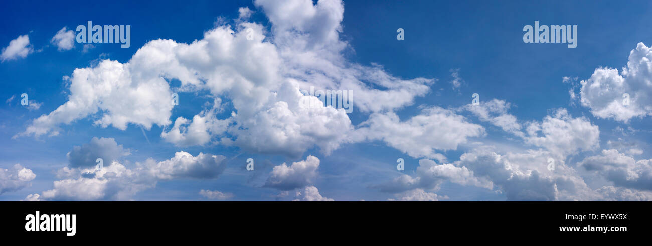 Panorama avec cumulus blanc et bleu ciel Banque D'Images