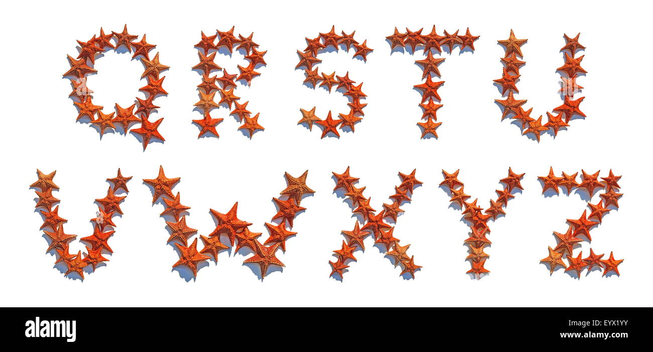 Lettres alphabet fait de vraies étoiles de mer isolé sur fond blanc, lettres Q à Z, partie 3 de 3 Banque D'Images