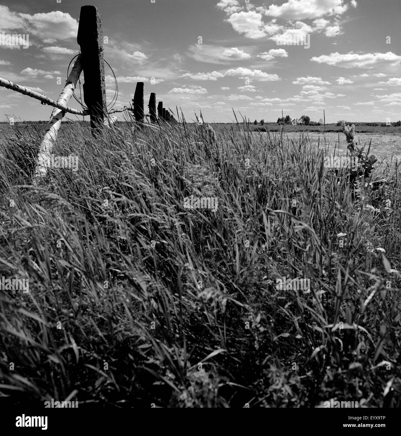 Vieille clôture dans un champ Banque D'Images