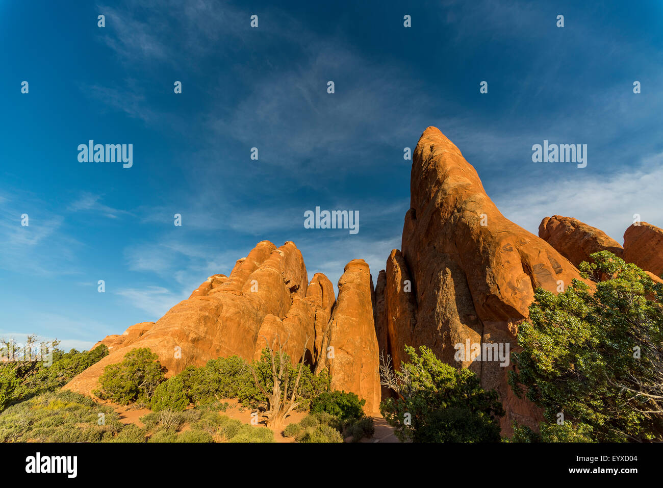 Les nageoires des Sand Dune Arch Banque D'Images