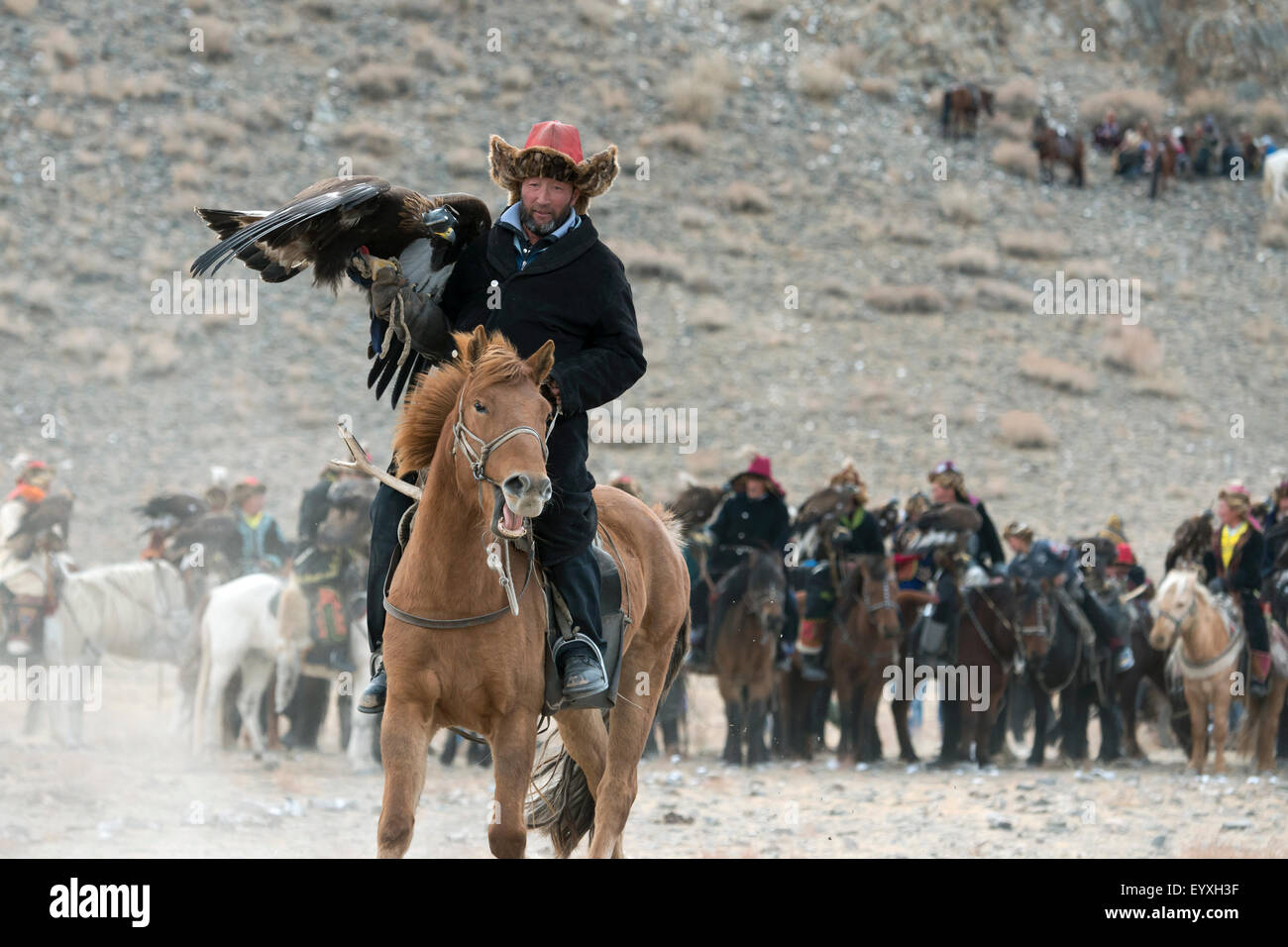 Concurrent, smiling, cheval brun, meilleur costume, Eagle et l'harnais, Eagle Festival, Olgii, l'ouest de la Mongolie Banque D'Images