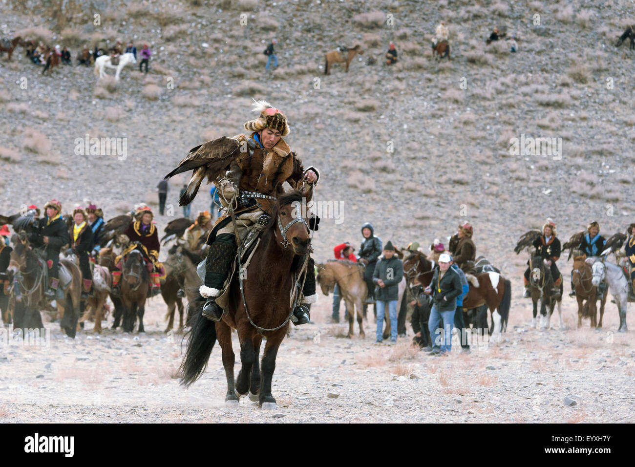 Concurrent, cheval brun foncé, meilleur costume et de l'eagle, faisceau, Eagle Festival, Olgii, l'ouest de la Mongolie Banque D'Images