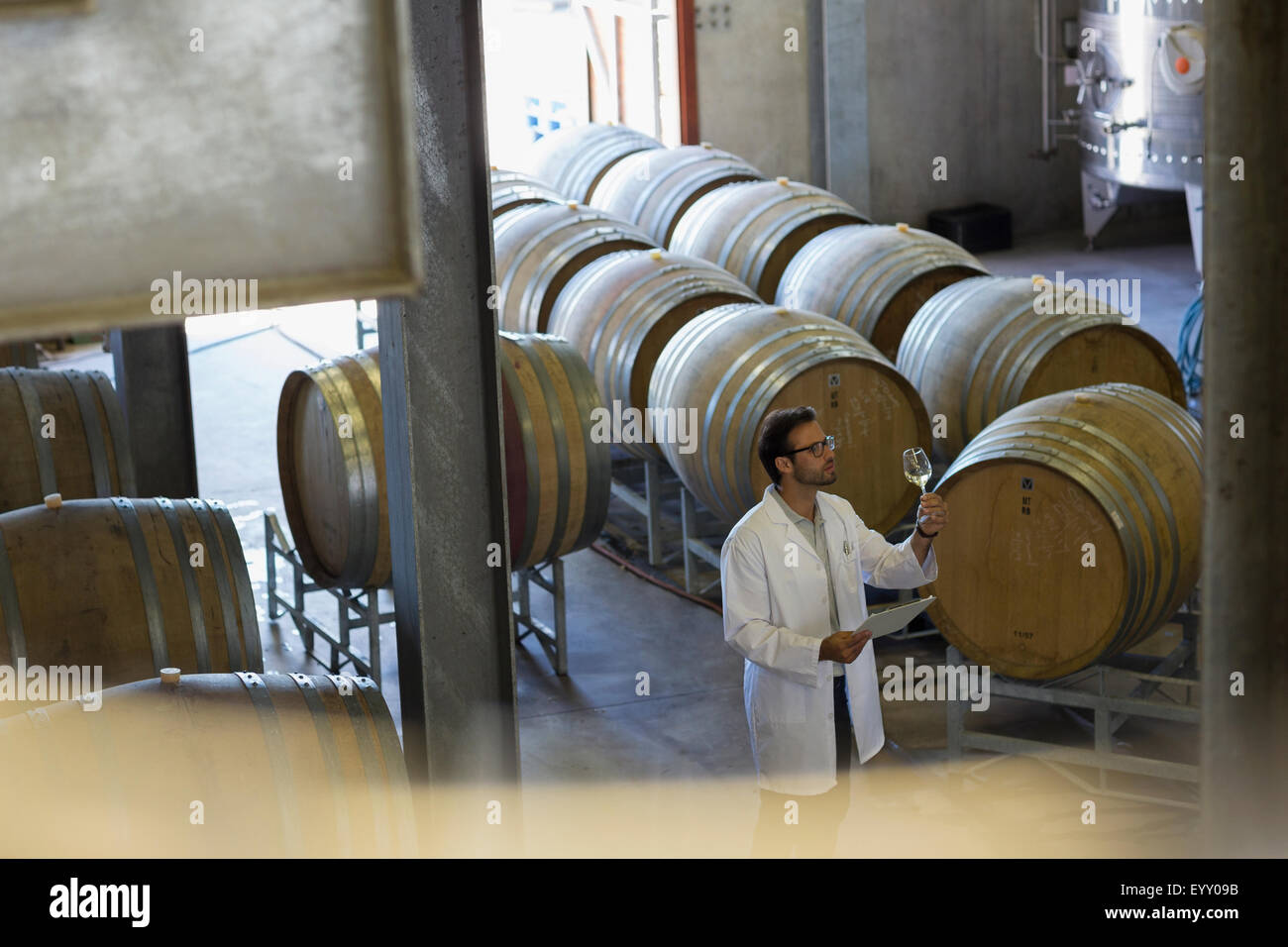 Vigneron in lab coat examen de vin en cave de vinification Banque D'Images