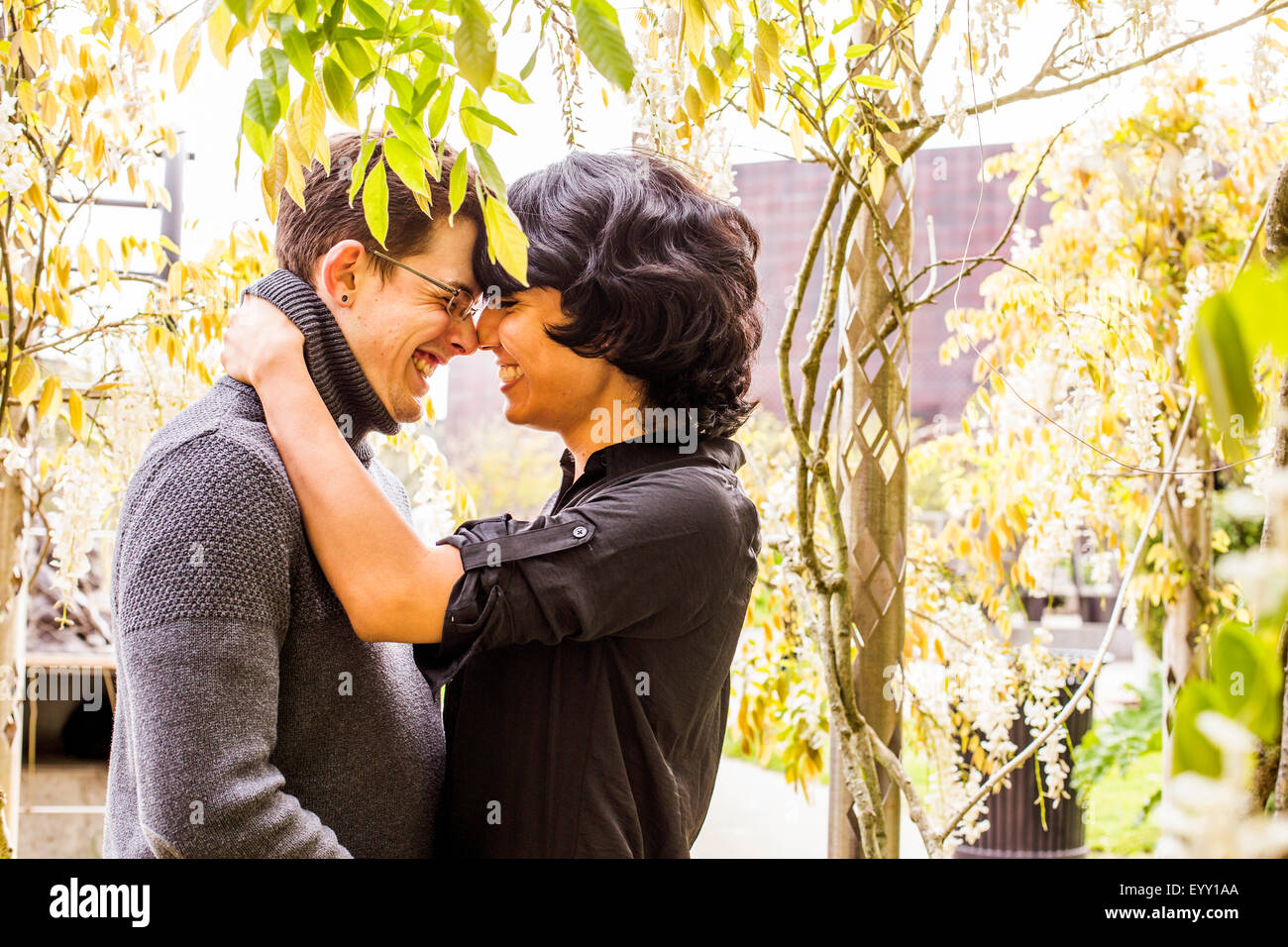 Smiling couple rubbing noses in park Banque D'Images