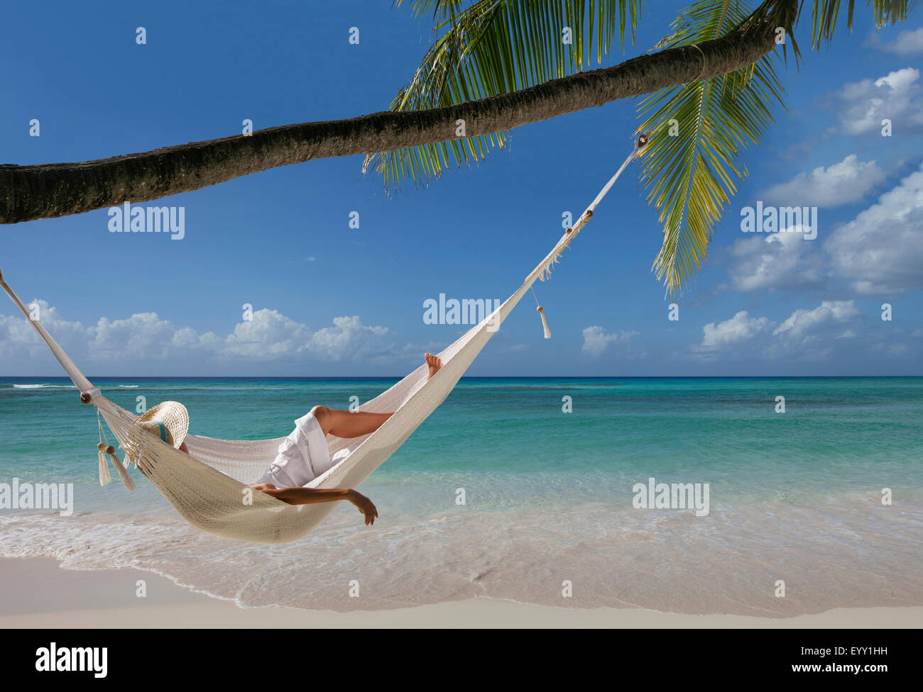 Caucasian woman laying in hammock sous palm tree on tropical beach Banque D'Images