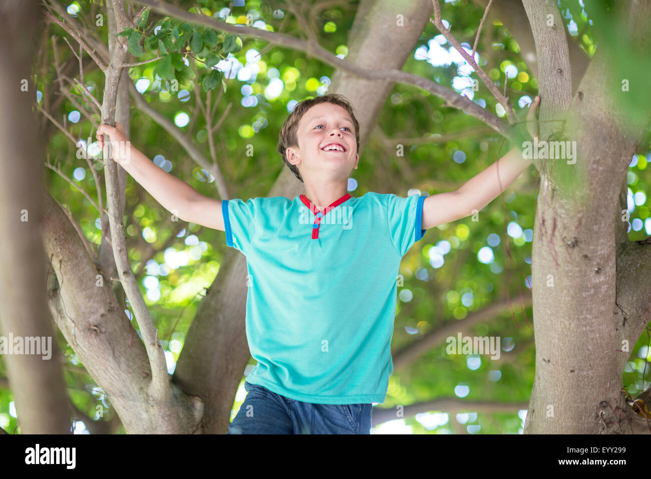 Low angle view of woman climbing tree Banque D'Images