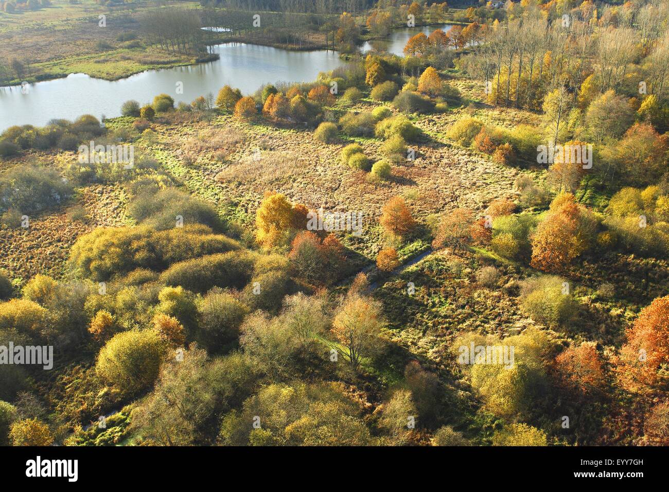 Vierkensbroek, des piscines, des terres humides et forêts de l'air, la réserve naturelle Demerbroeken, Belgique, Vierkensbroek Banque D'Images