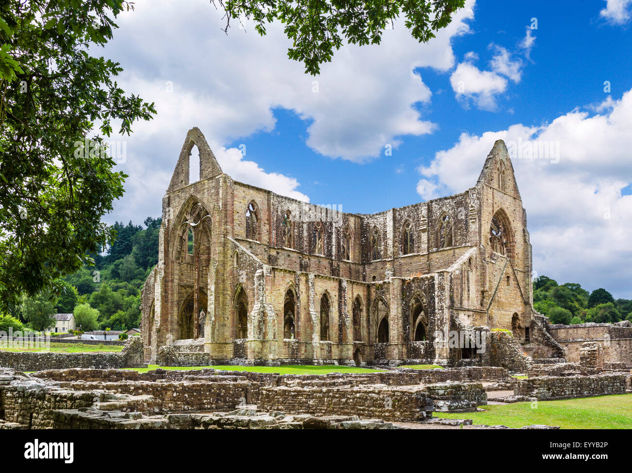 Abbaye de Tintern. Les ruines de l'abbaye de Tintern, près de Chepstow, vallée de la Wye, Monmouthshire, Wales, UK Banque D'Images