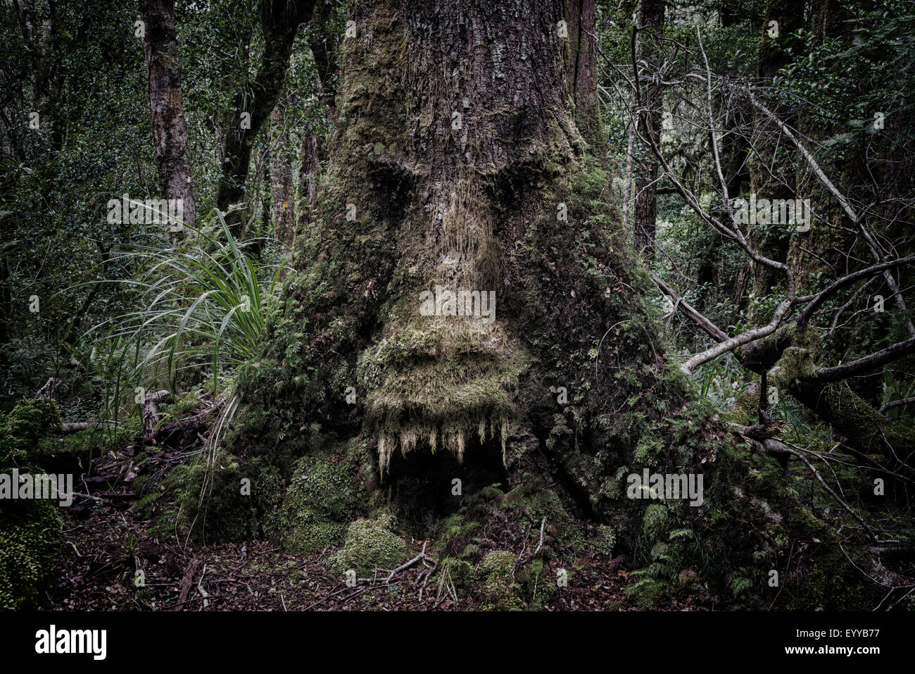 Monstre D'arbre De Halloween- Visage Et Mains De Décoration De Vacances  Montés Sur Le Tronc D'arbre Dans Le Quartier Avec La Robe Image stock -  Image du imagination, horrible: 199131493