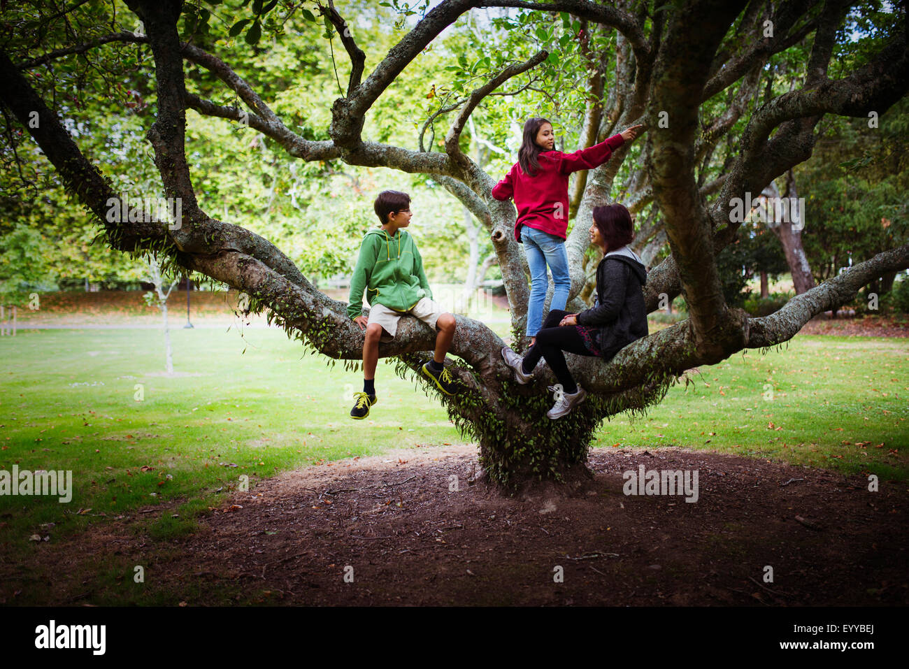 Les enfants et la mère des branches d'arbre d'escalade dans la région de park Banque D'Images
