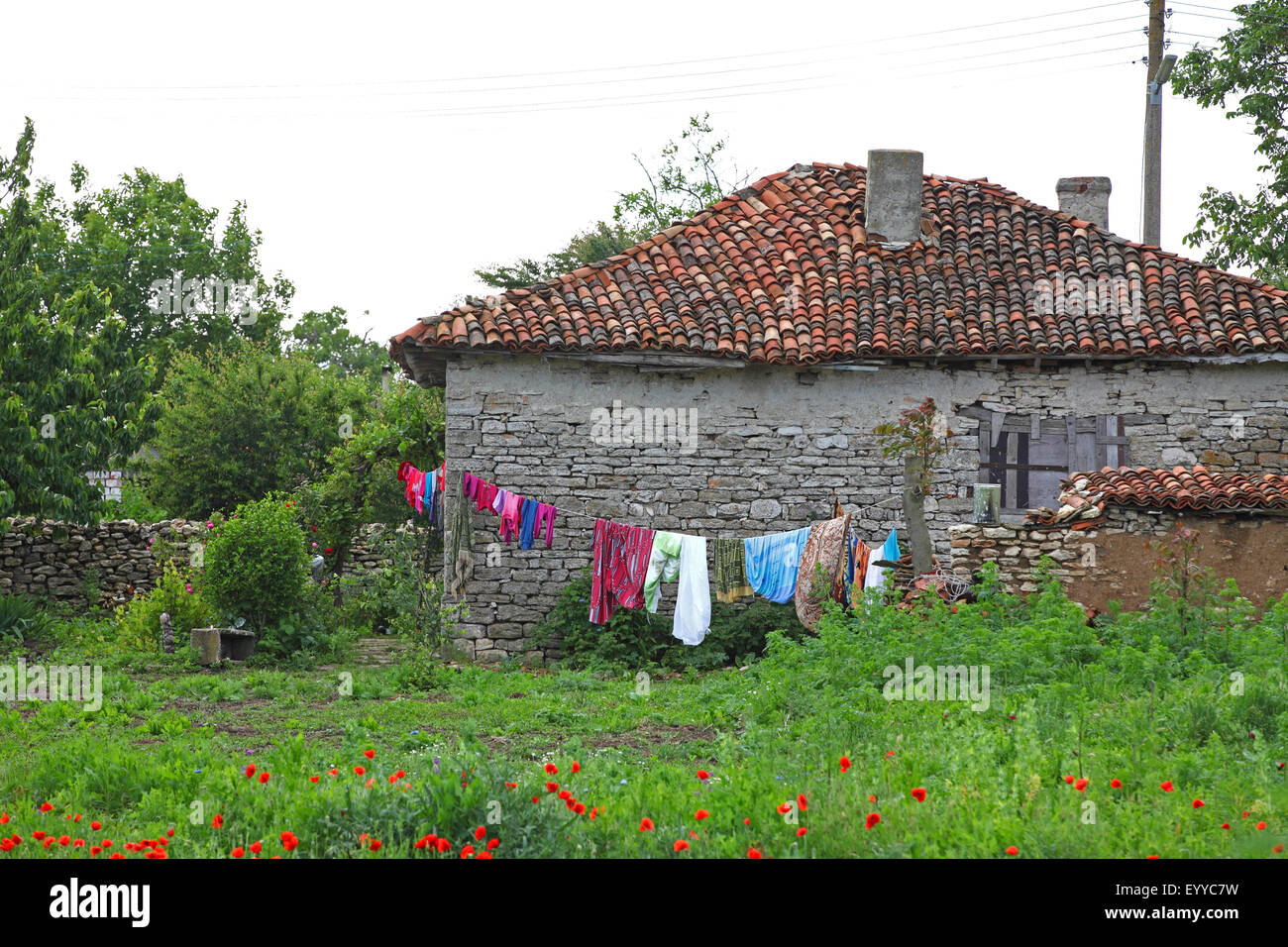 Maison rurale dans un village, la Bulgarie, l'Dobrudscha Banque D'Images