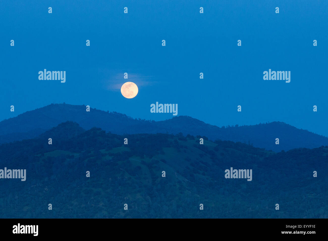 Lune rougeoyante qui s'élève au-dessus de la Foothills, Oakhurst Foothills, California, United States Banque D'Images