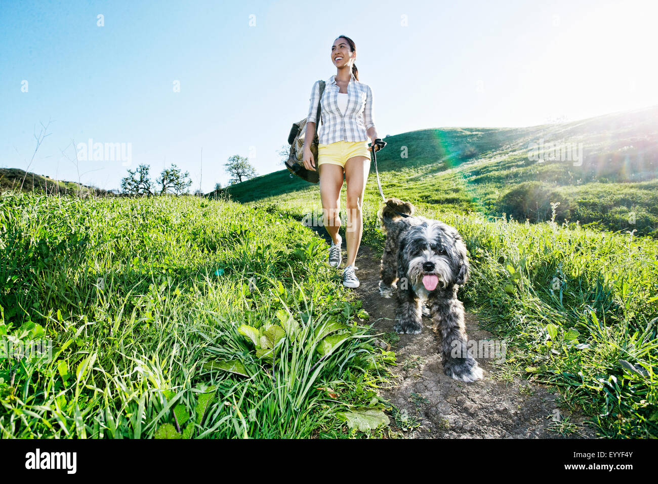 Mixed Race woman walking dog on grassy hillside Banque D'Images