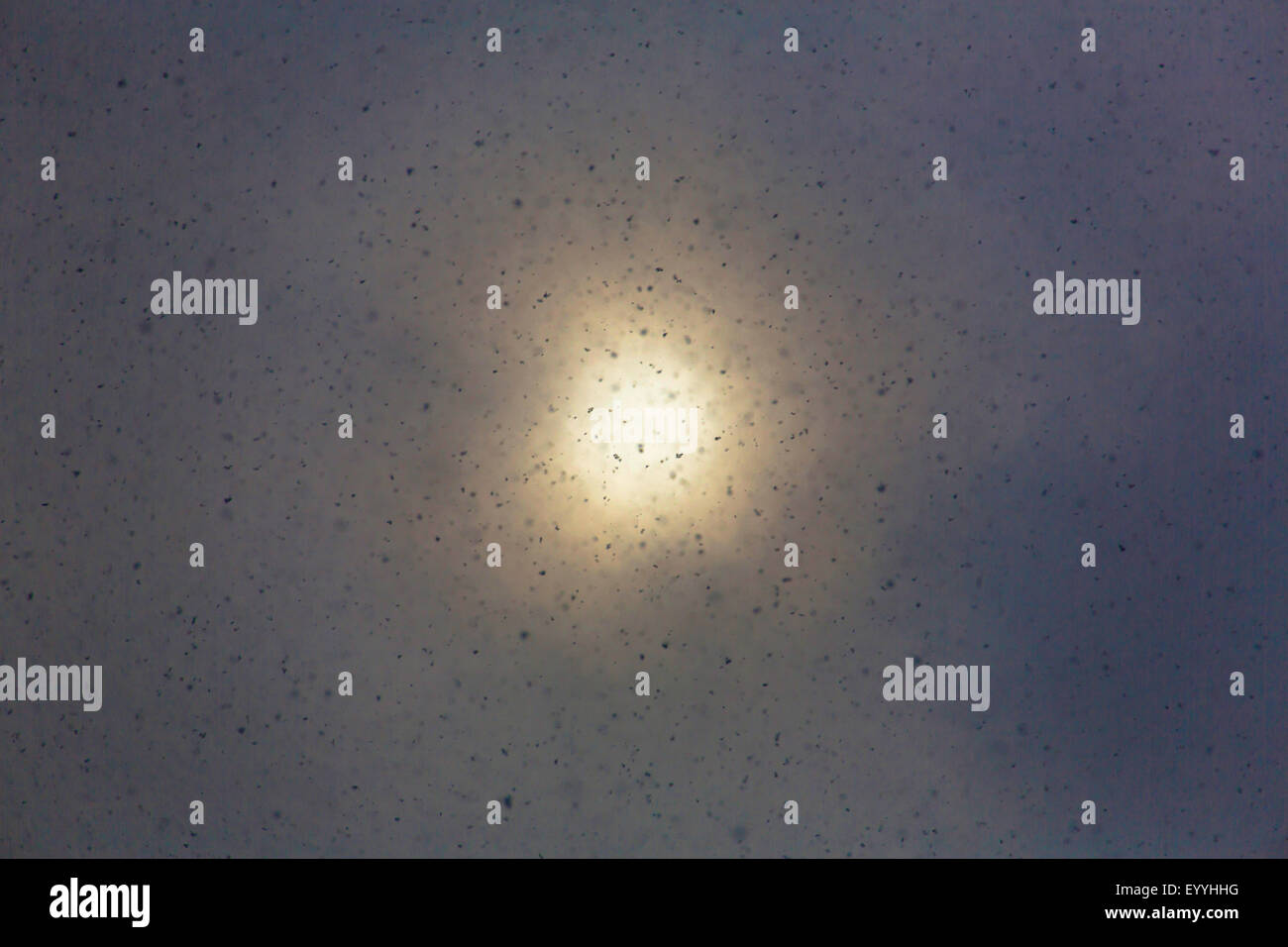 Flocons de neige et soleil, Allemagne Banque D'Images