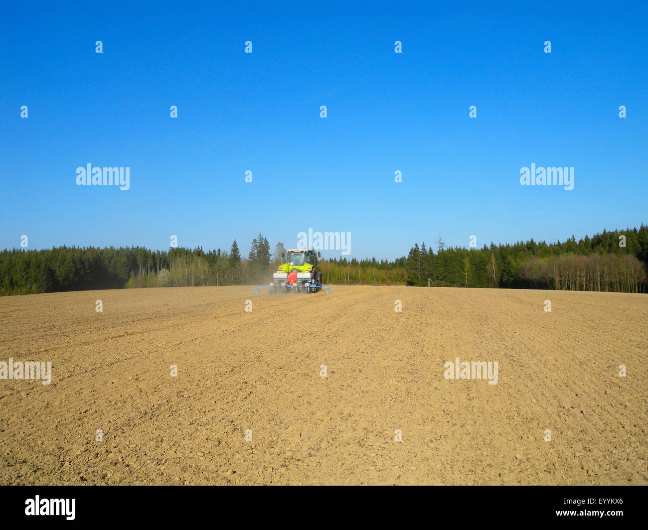 Le maïs de forage avec le tracteur et semoir pneumatique de précision, l'Allemagne, la Bavière Banque D'Images