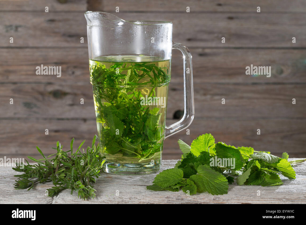 La mélisse, Melissa officinalis (Balm Garden), plateau de la mélisse et l'éleusine, Allemagne Banque D'Images