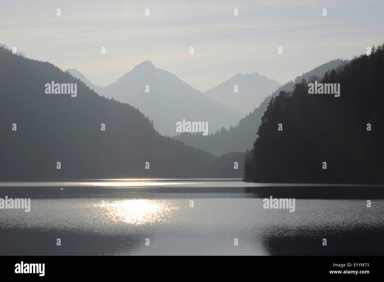 Alpsee et les montagnes de la partie nord des Alpes calcaires près de Schwangau en rétro-éclairage lors d'une soirée en mars, en Allemagne, en Bavière, souabe, Ostallgaeu Banque D'Images