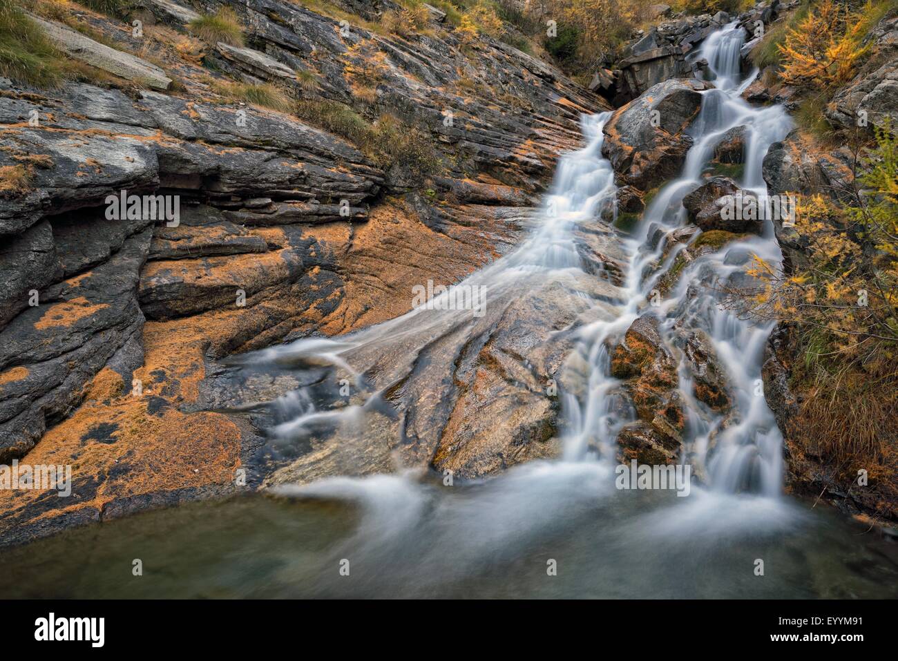 Mountain Creek avec des roches couverte avec les aiguilles de mélèze, Italie, Parc National du Gran Paradiso Banque D'Images