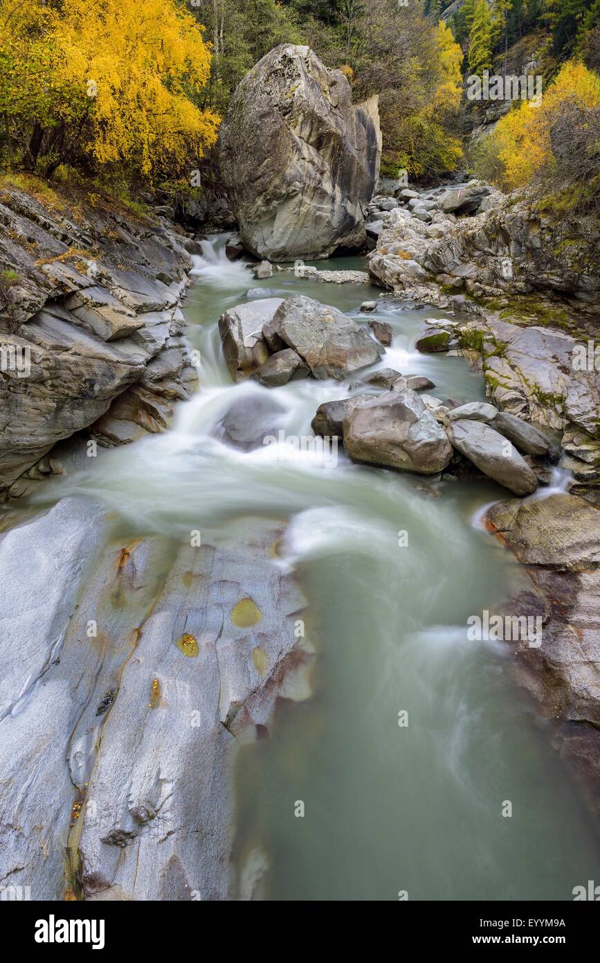 Mountain Creek du Gran Paradiso National Park à l'automne, l'Italie, le Parc National Gran Paradiso Banque D'Images