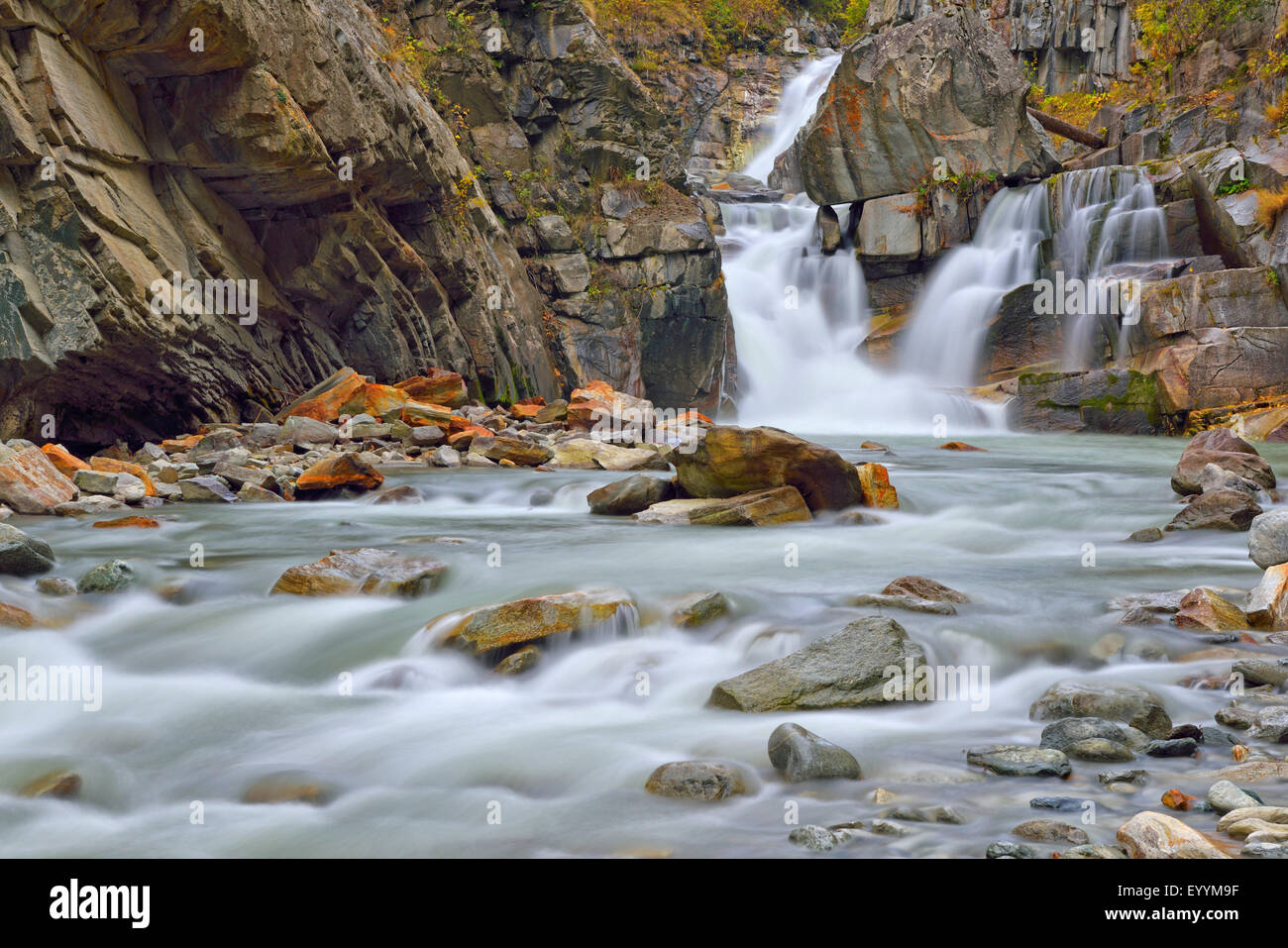 Mountain Creek avec cascade au Parc National du Gran Paradiso en automne, l'Italie, le Parc National Gran Paradiso Banque D'Images