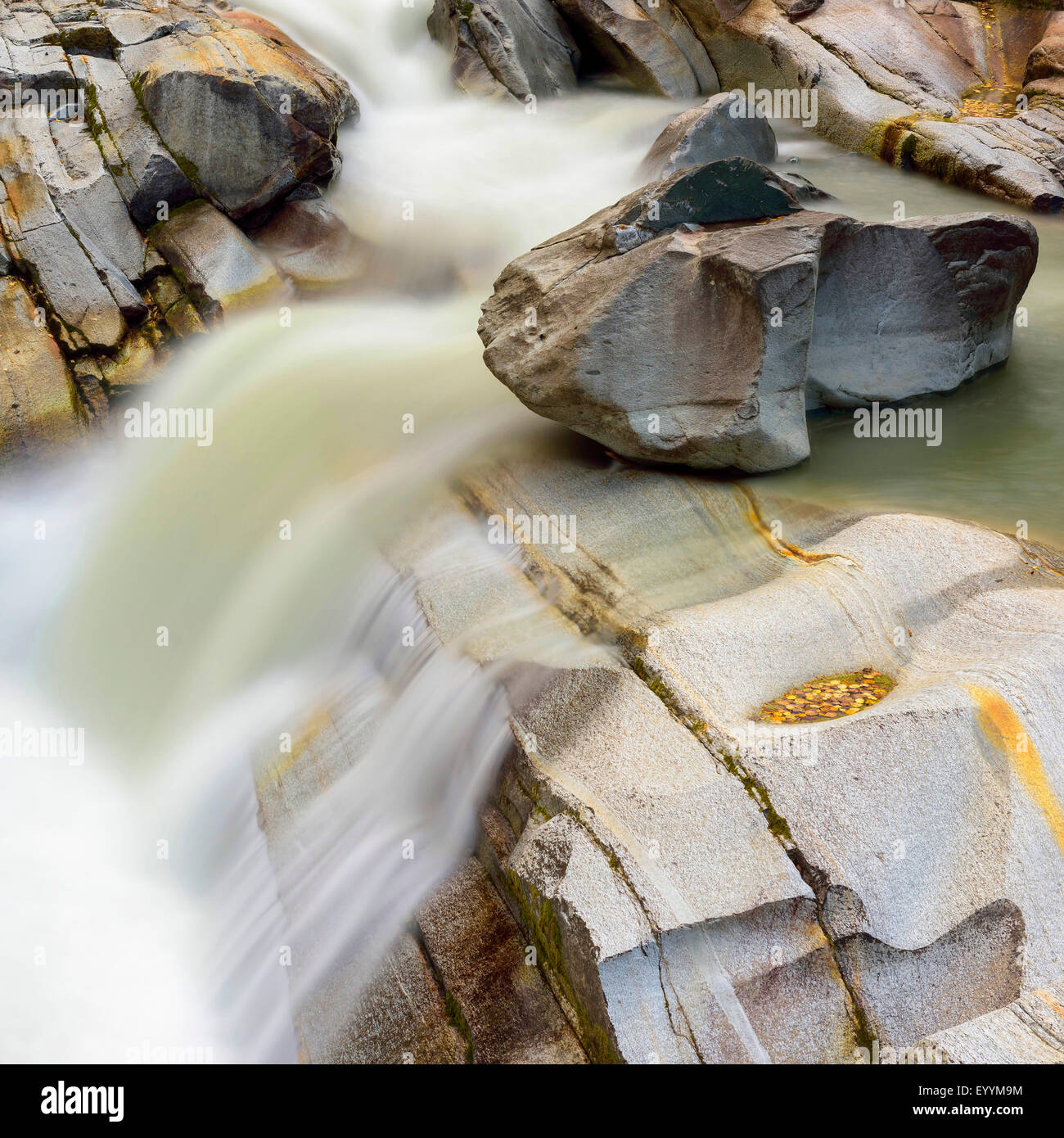 Mountain Creek avec cascade au Parc National du Gran Paradiso en automne, l'Italie, le Parc National Gran Paradiso Banque D'Images