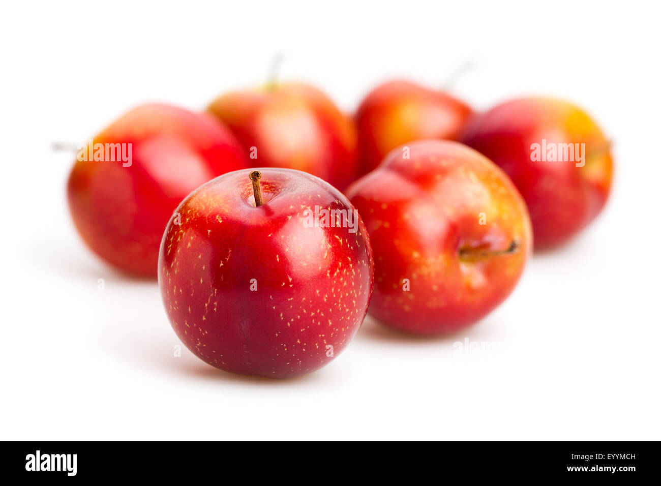 Prune rouge isolé Banque D'Images