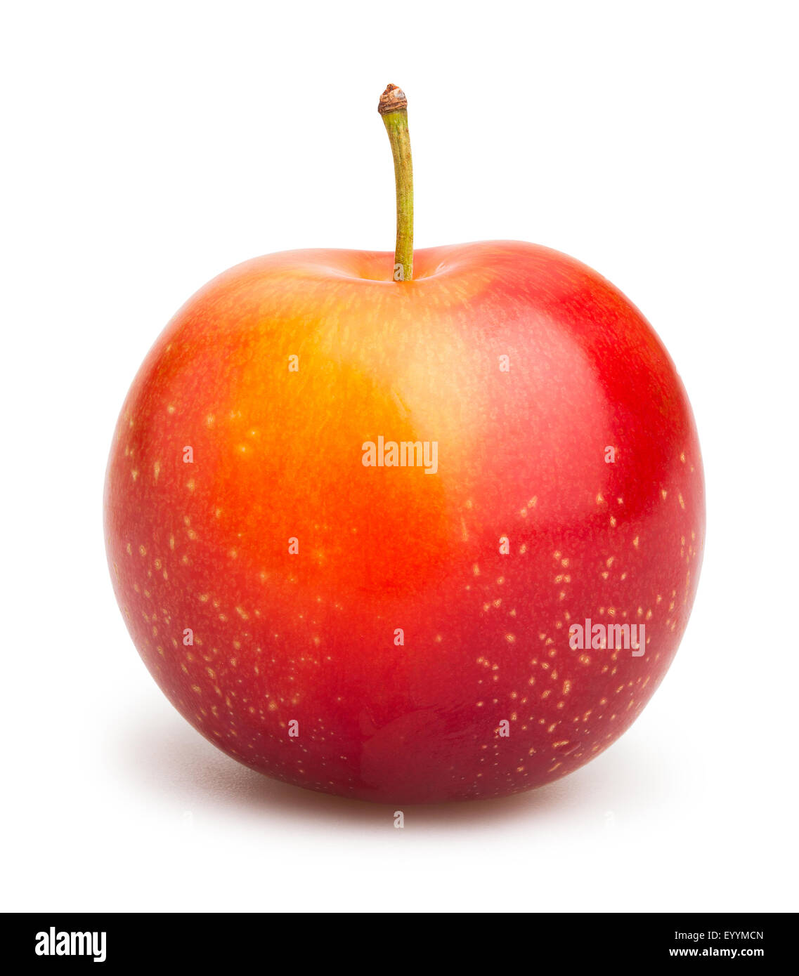 Prune rouge isolé Banque D'Images