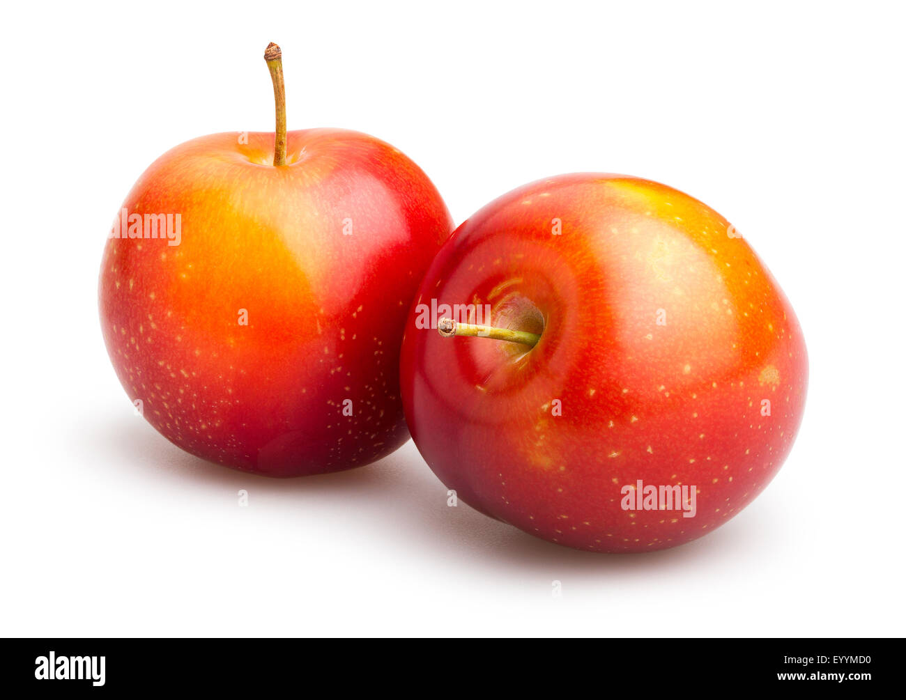 Prune rouge isolé Banque D'Images