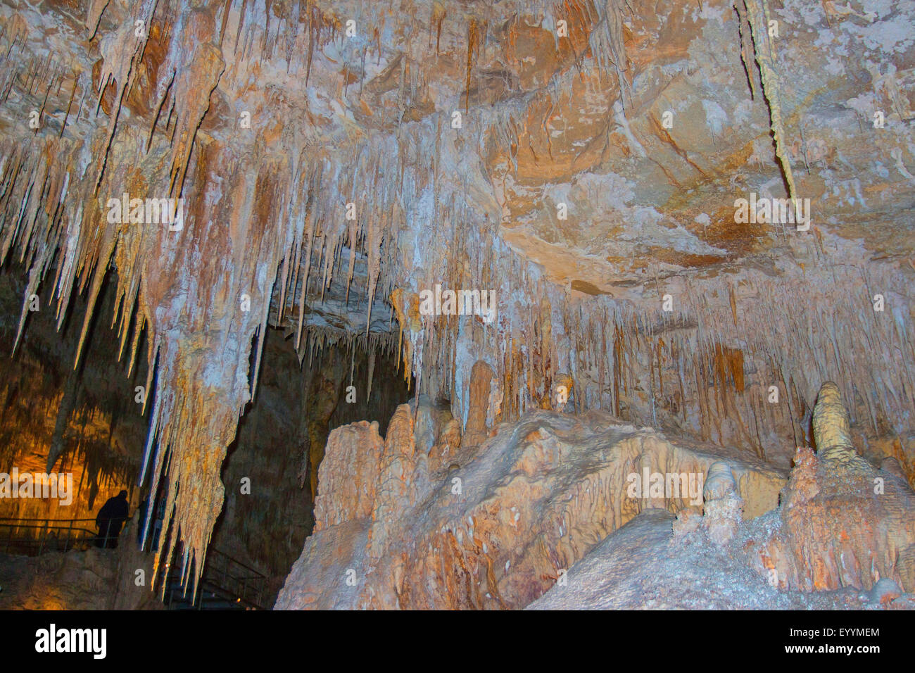 Grotte de stalactites dans Mammaoth, Australie, Australie occidentale, Mammoth Cave Banque D'Images