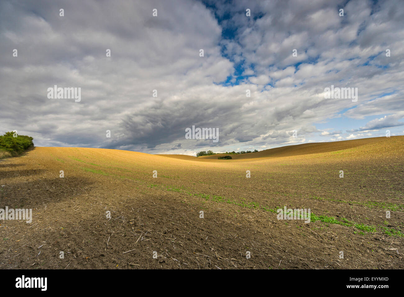 Terrain vallonné des paysages avec ciel nuageux, Allemagne, Brandenburg, Templin Banque D'Images