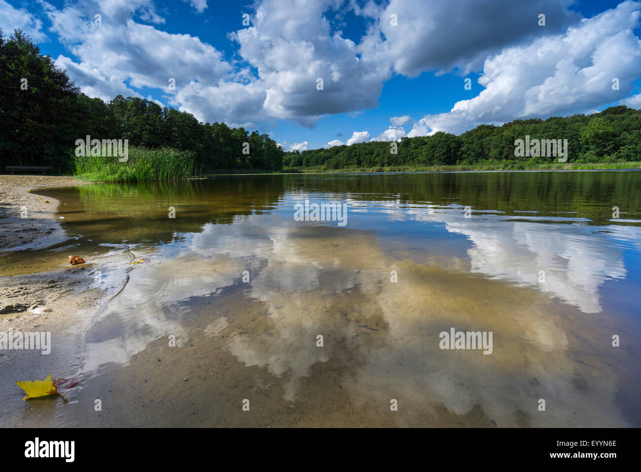 Nuages sur un lac à la fin de l'été, l'Allemagne, Brandebourg, Templin Banque D'Images