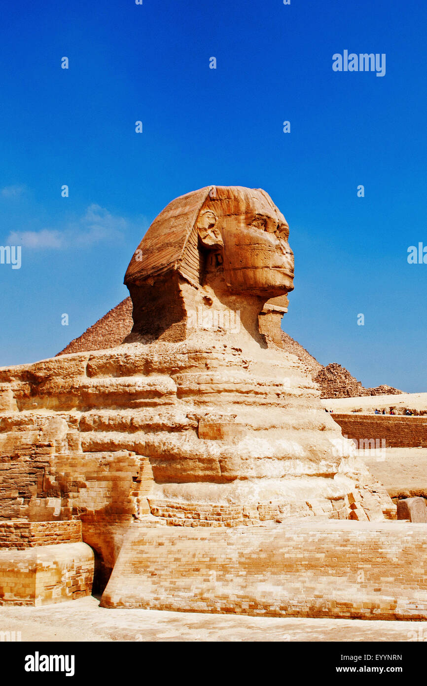 Grand Sphinx de Gizeh, Egypte, Gizeh Banque D'Images