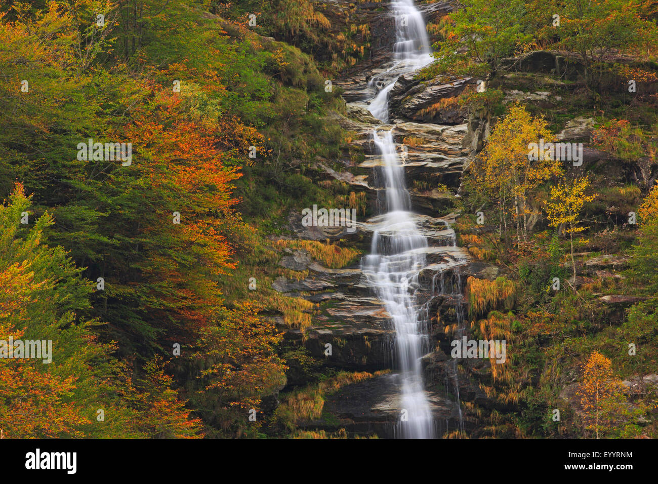 Cascade de la vallée de Verzasca, Tessin, Suisse Banque D'Images