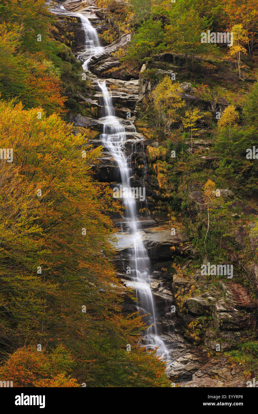 Cascade de la vallée de Verzasca, Tessin, Suisse Banque D'Images