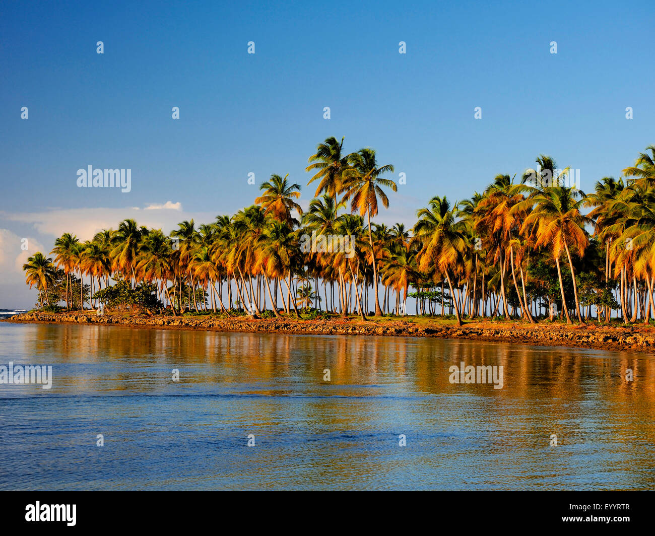 Baie de Samana, Las Galeras, Samana, République Dominicaine Banque D'Images
