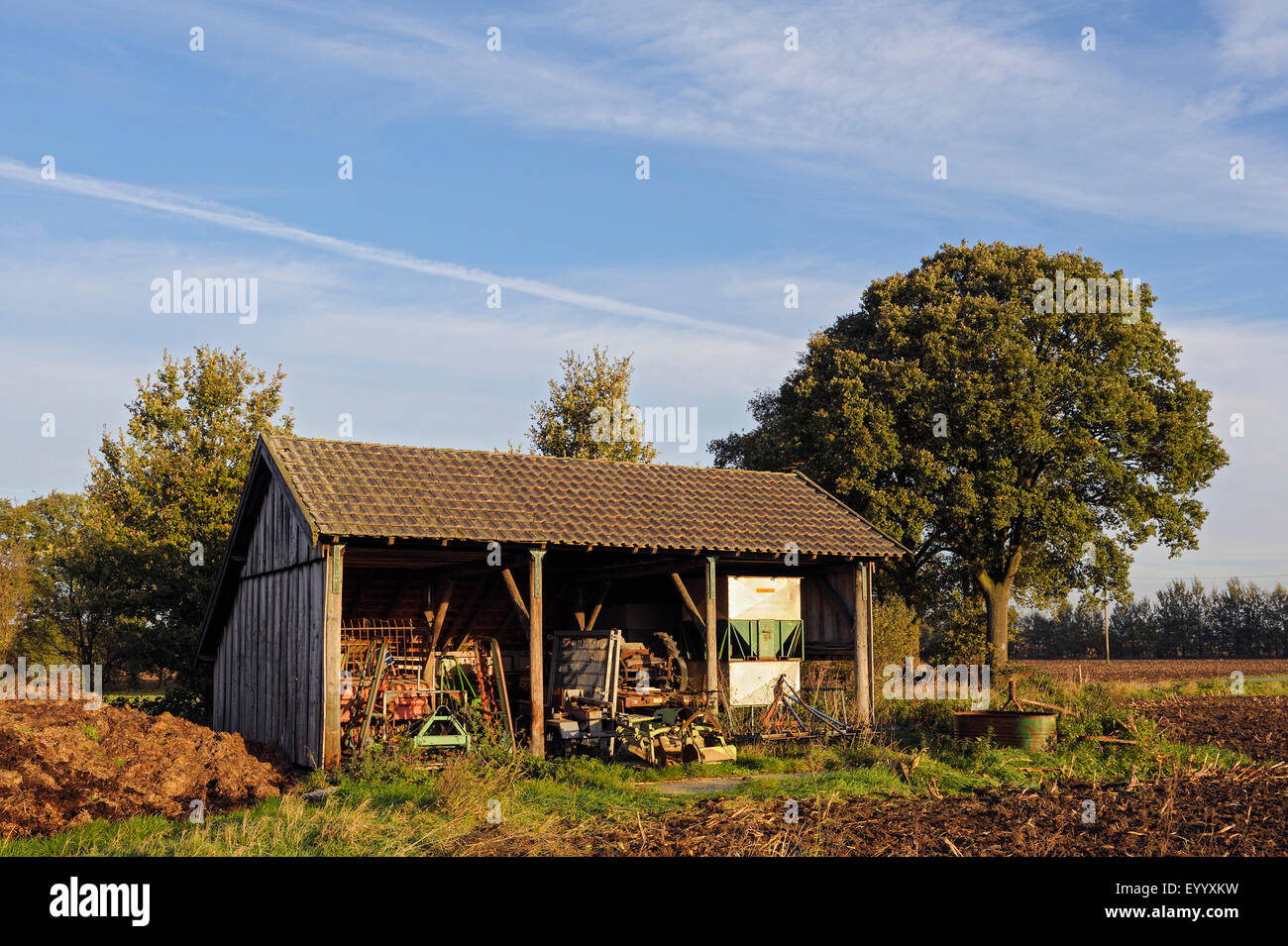 Remise à outils, l'Allemagne, en Rhénanie du Nord-Westphalie, région de Münster, Dingdener Heide Banque D'Images