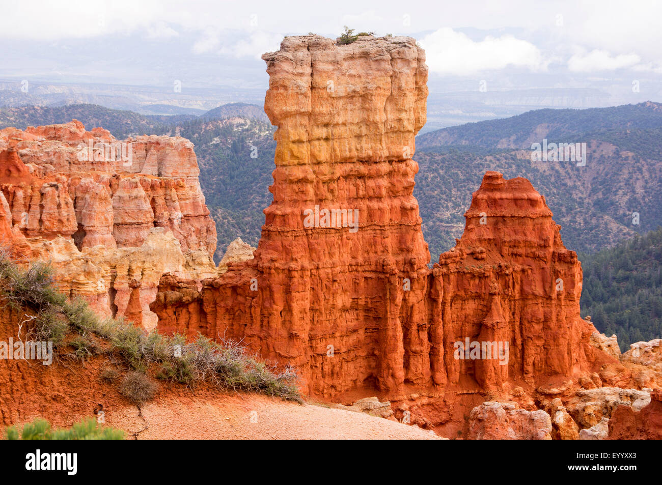 L'érosion de roches sédimentaires à Bryce Canyon, USA, Utah, le Parc National de Bryce Canyon Banque D'Images