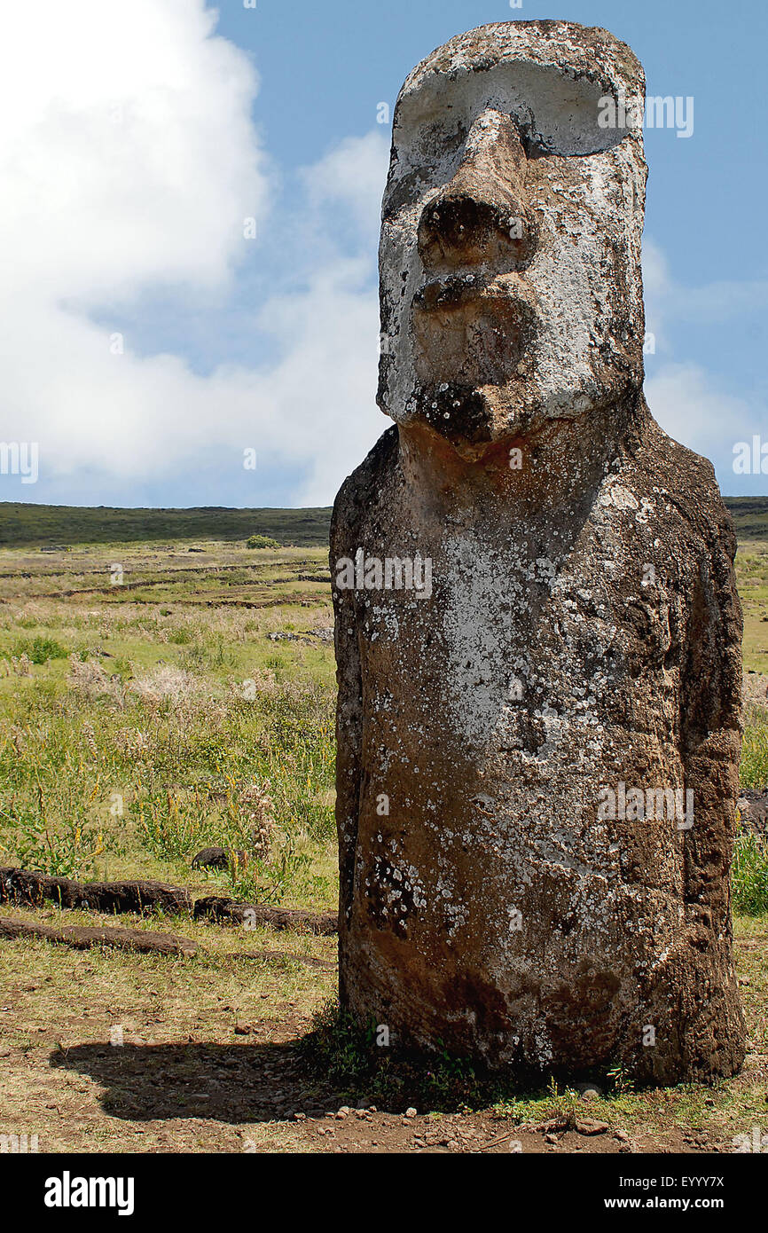 Moai statue, Chili, parc national de Rapa Nui Banque D'Images