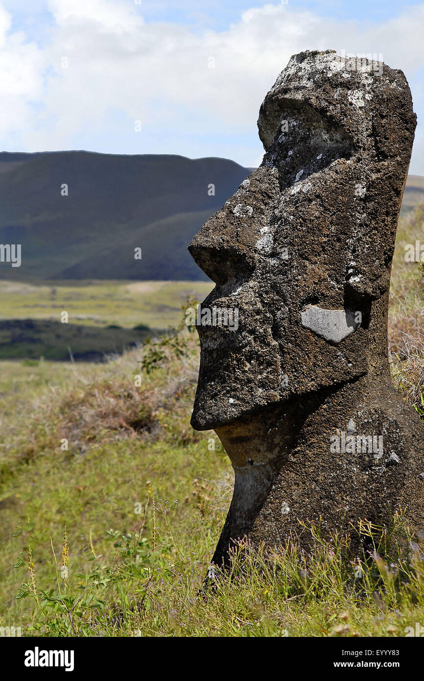Moai statue, Chili, parc national de Rapa Nui Banque D'Images
