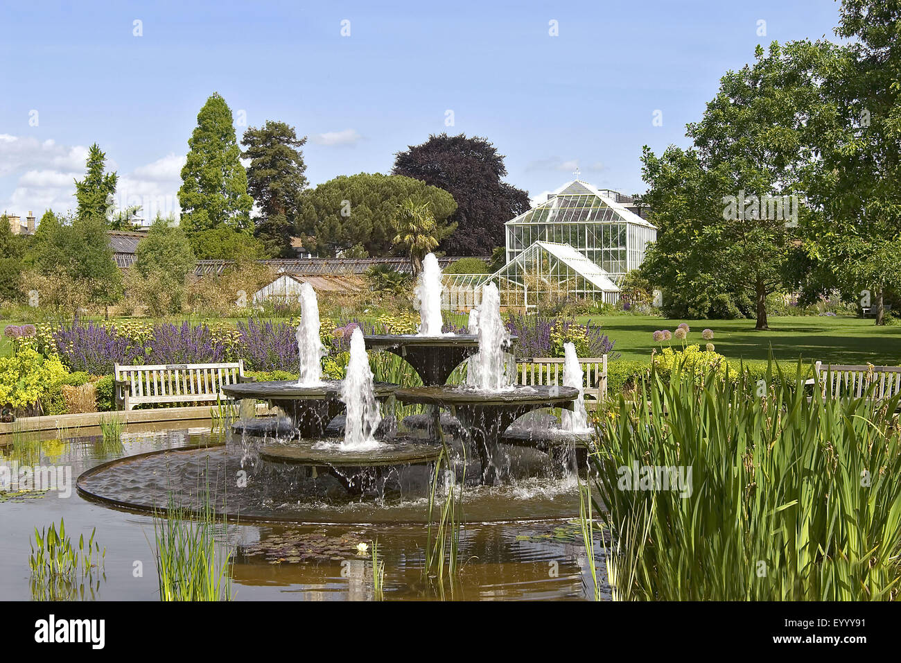 Jardins botaniques de l'Université de Cambridge, Royaume-Uni, Angleterre, Cambridge Banque D'Images Jardins botaniques de l'Université de Cambridge, Royaume-Uni, Angleterre, Cambridge Banque D'Images