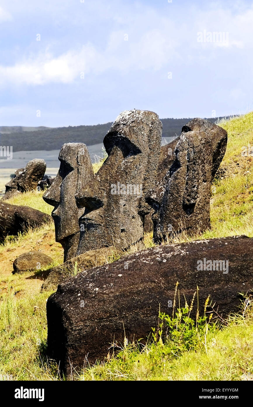 Moai statues, Chili, parc national de Rapa Nui Banque D'Images