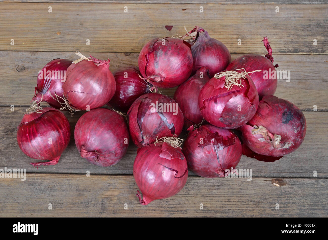 Jardin oignon, oignon, bulbe oignon commun (Allium cepa), oignons rouges Banque D'Images